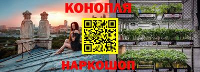 шишки Анжеро-Судженск