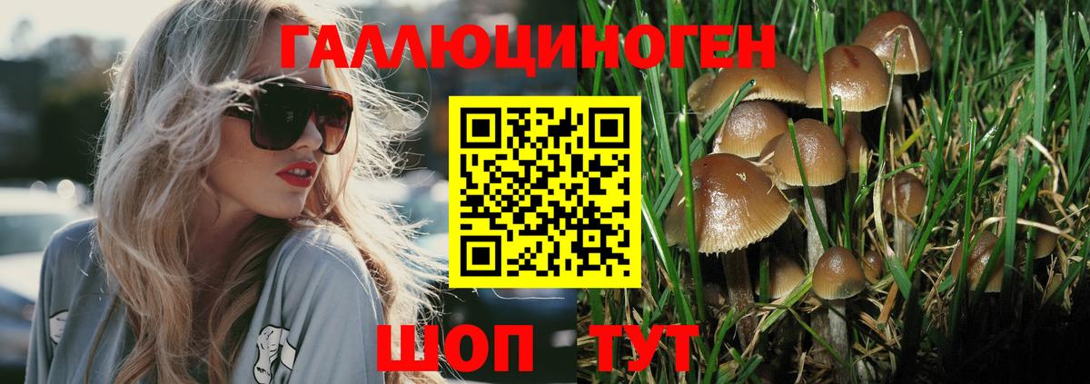 Псилоцибиновые грибы Magic Shrooms  Галлюциногенные грибы GOLDEN TEACHER  Балашиха  Вход с VPN 
